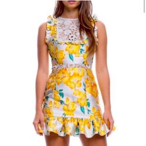 NWT size S Endless Rose dress